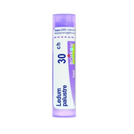 Boiron Ledum Palustre Boi 30ch 80gr4g