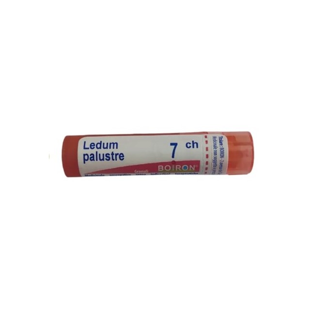 Boiron Ledum Palustre Boi 7ch 80gr 4g