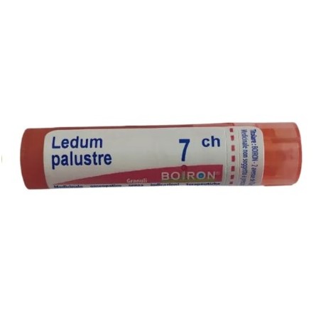 Boiron Ledum Palustre Boi 7ch 80gr 4g
