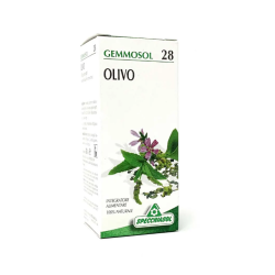 Flacone da 50 Ml di Gemmosol Olivo 28 della Specchiasol