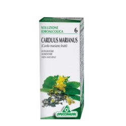Flacone da 50 Ml di tintura madre di cardio Mariano della Specchiasol