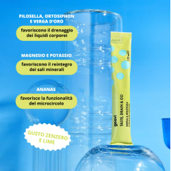 The Good Vibes Company Goovi Drenante Zenzero&lime 24 Stick Pack
