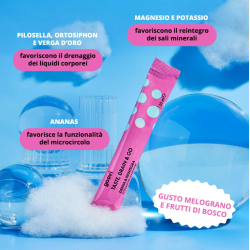 The Good Vibes Company Goovi Drenante Melograno&frutti Di Bosco 24 Stick Pack