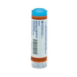 Hering Phytolacca Decandra 9ch Gl 1g