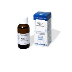 Sarandrea Populus Nigra 100...