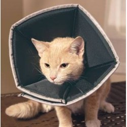 Candioli Comfy Cone Collare...