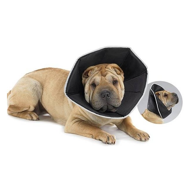 Candioli Comfy Cone Collare Elisabettiano Innovativo M Diametro 20 Cm