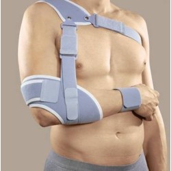 Ro+ten Tutore Per...