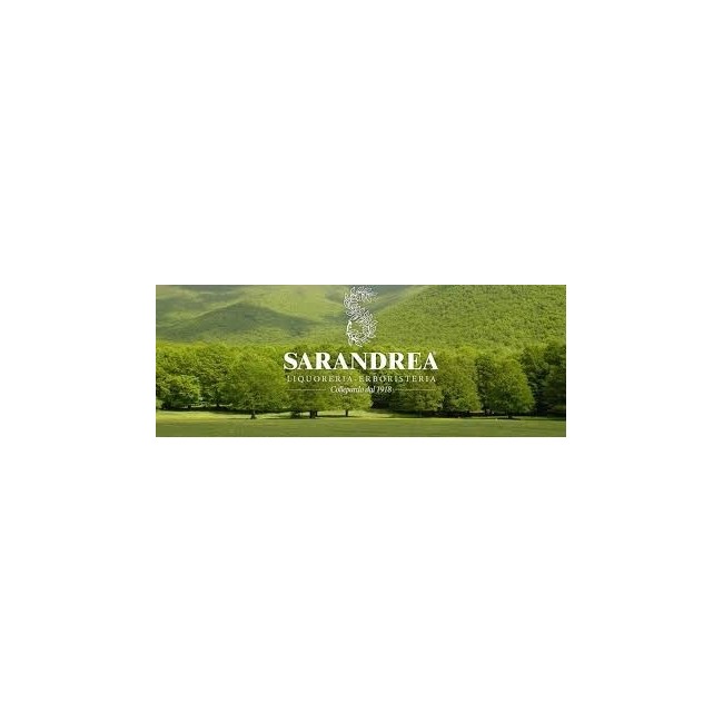 Sarandrea Fagus Sylvatica 100 Ml Macerato Glicerico