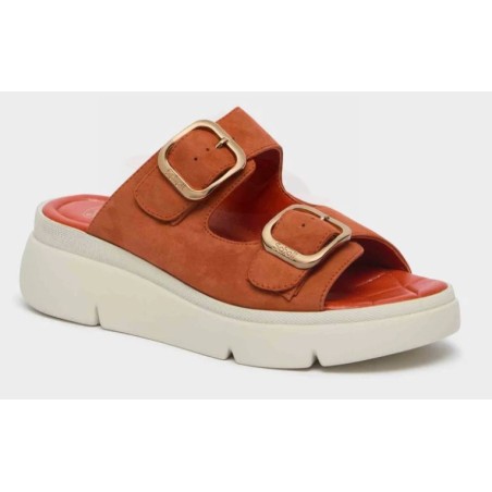 Scholl Calzatura Bali Buckle Suede W Brick 39