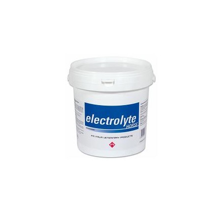 Fm Italia Group Electrolyte Horse Soluzione Orale 3kg