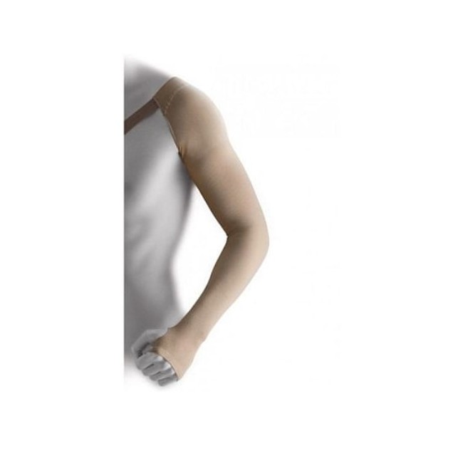 Gloria Med Gloriamed Bracciale Kl 1 Corto Con Palmare Autoreggente Misura Large 1 Pezzo