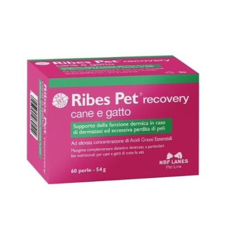 Confezione da 60 perle di Ribes Pet Recovery Cane e Gatto da N.B.F. Lanes Confezione da 60 perle di Ribes Pet Recovery Cane e Gatto da N.B.F. Lanes