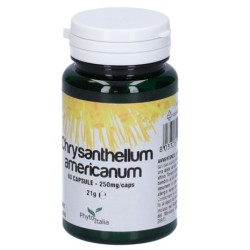 Phytoitalia Chrysantellum...