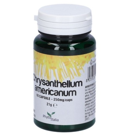 Phytoitalia Chrysantellum Americanum 60 Capsule