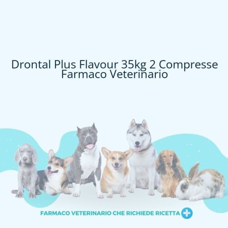 Farma 1000 Drontal Plus Flavour Xl, Compresse Per Cani
