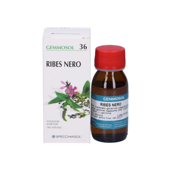 Specchiasol Gemmosol 36 Ribes Nero 50ml