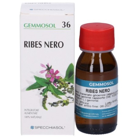 Specchiasol Gemmosol 36 Ribes Nero 50ml