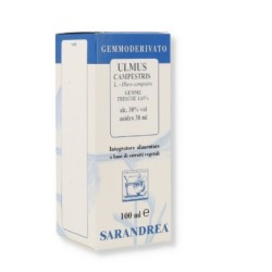 Sarandrea Marco &c. Ulmus...