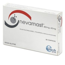 Epitech Group Nevamast...