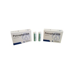Biogroup Psicophyt Remedy 42b 4 Tubi 1,2g