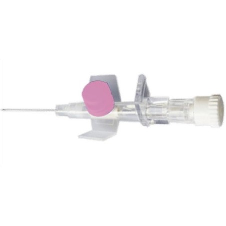 P. B. Pharma Ago Cann 2 Vie G 20 C/alette Rosa