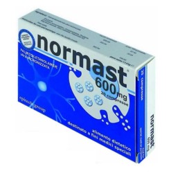 Epitech Group Normast 600...