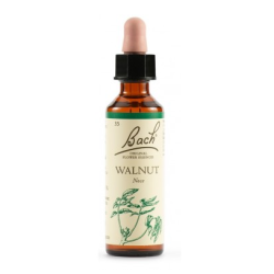 Oti Officine Terapie...