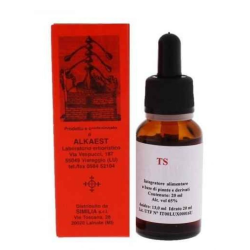 Alkaest Ts24 Ginkgo Biloba...