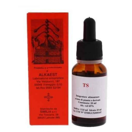 Alkaest Ts24 Ginkgo Biloba 20 Ml