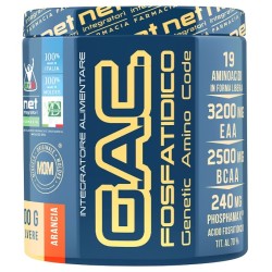 Moldes Net Integratori Gac...