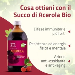 Salugea Succo Acerola Bio 500 Ml