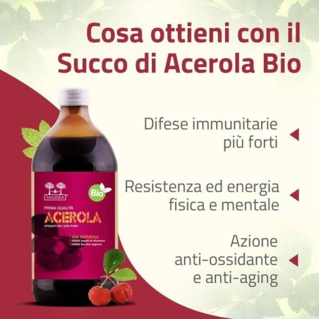 Salugea Succo Acerola Bio 500 Ml