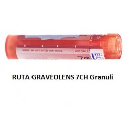 Boiron Ruta Grav Boi 7ch 80gr 4g