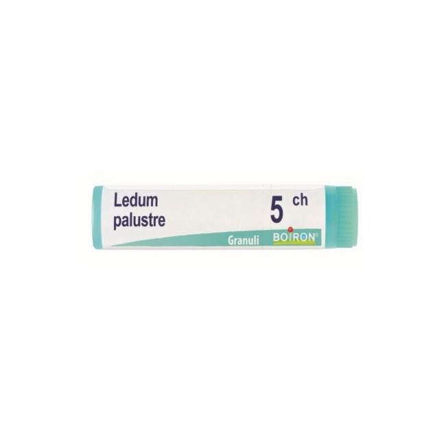 Boiron Ledum Palustre Boi 5ch Gl 1g