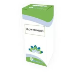 Lindaservice Flowemotion 18...