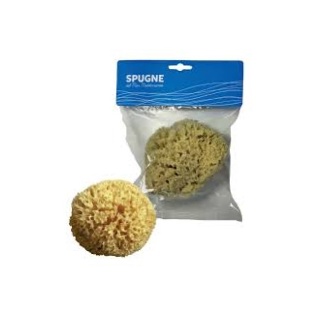 Alcea Spugna Arcipelago Mediterraneo Naturale 10