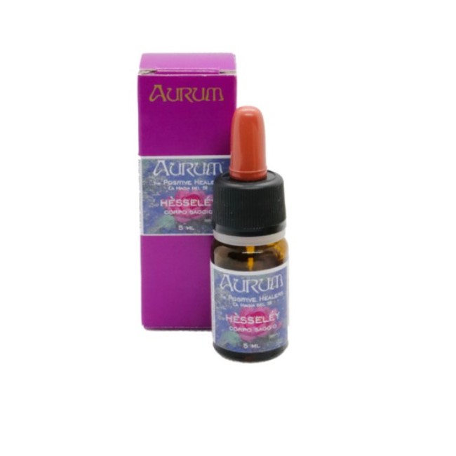Aurum Hesseley Corpo Saggezza Gocce 5 Ml