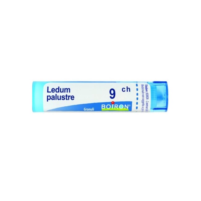 Boiron Ledum Palustre Boi 9ch 80gr 4g