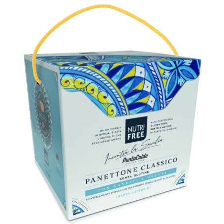 Nt Food Nutrifree Panettone Classico Con Uvetta E Canditi 450 G