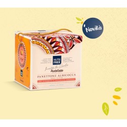 Nt Food Nutrifree Panettone...