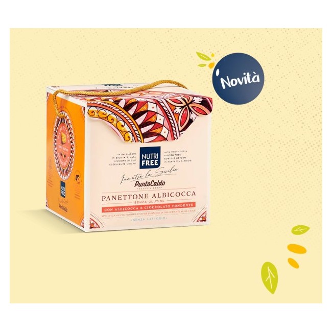 Nt Food Nutrifree Panettone Albicocca 450 G