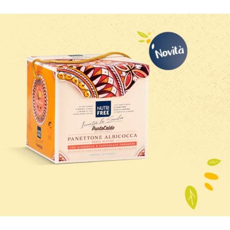 Nt Food Nutrifree Panettone Albicocca 450 G
