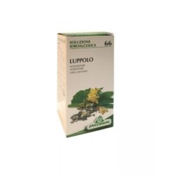Specchiasol Luppolo 66 50ml Tm