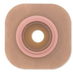 Placca Autoportante...