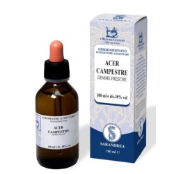 Sarandrea Marco &c. Acer...