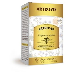 Dr. Giorgini Artrovis Polvere Solubile 360 G