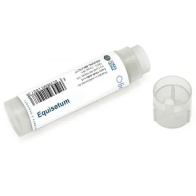 Forza Vitale Italia Equisetum Cu/au/ag 100 Globuli