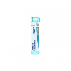 Boiron Actaea Racem Boi 200ch 80gr 4g