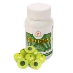 Bliss Ayurveda Ayurera...